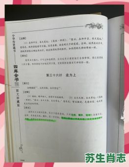 三十六计走为上是什么生肖?三十六计走为上最佳答案 三十六计走为上是什么生肖?三十六计走为上最佳答案
