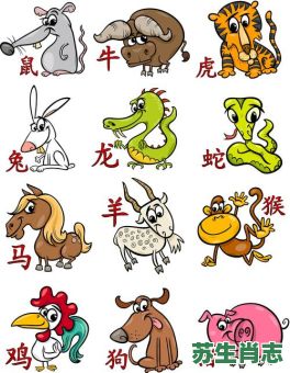 常受欺负的生肖是什么？十二生肖最受欺负的生肖