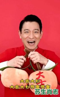 刘德华是什么生肖?刘德华打一正确生肖 刘德华是什么生肖?刘德华打一正确生肖