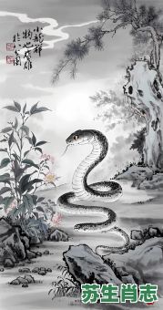 逢凶化吉是什么生肖?逢凶化吉最正确的动物 逢凶化吉是什么生肖?逢凶化吉最正确的动物