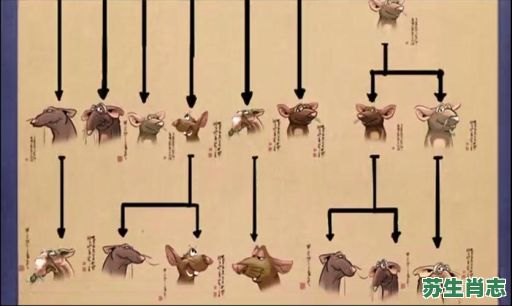 身在江湖是什么生肖？江湖打一正确生肖