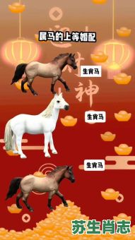 马马虎虎是什么生肖？马马虎虎打一正确生肖