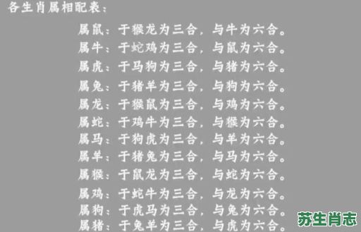 五合是什么生肖？五合生肖正确答案