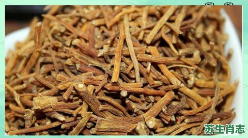 中药是什么生肖？中药打一最准确生肖