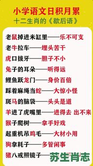 虎口拔牙是什么生肖？虎口拔牙打一准确生肖