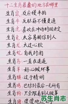 傻子是什么生肖？最傻的生肖第一名