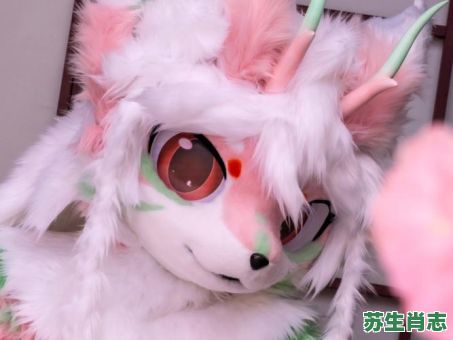 樱花是什么生肖？樱花打一个准确动物