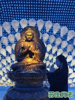 南朝四百八十寺是什么生肖？四百四十八寺最佳生肖