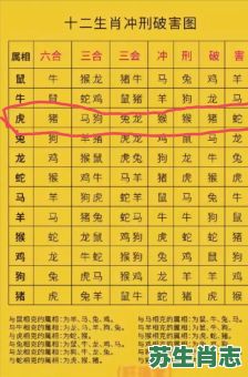 没大没小是什么生肖?没大没小打正确一肖 没大没小是什么生肖?没大没小打正确一肖