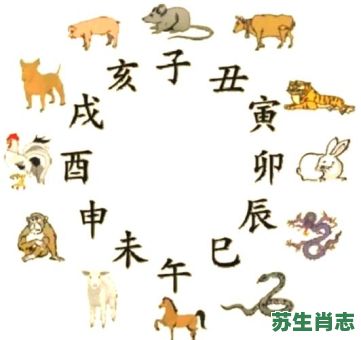 午时是什么生肖？十二生肖12时辰顺序