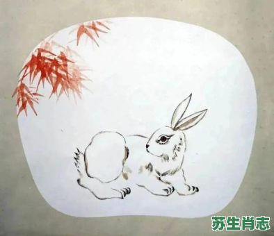 玉免下凡是什么生肖？玉兔下凡是指什么生肖