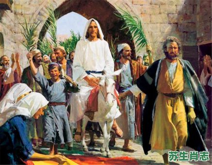 仆人是什么生肖？仆人打最正确的一肖