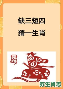 四更是什么生肖？四更打一准确动物