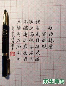 苏轼是什么生肖？苏轼打一准确生肖