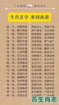 玄机是什么生肖？玄机打一个准确生肖