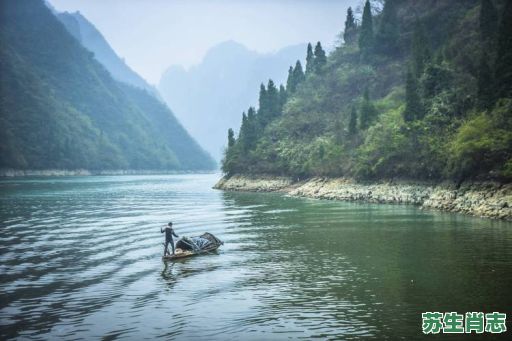河中欲转千帆舞是什么生肖？河水欲转千帆舞正确答案