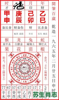 乙是什么生肖？乙指一个正确生肖