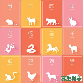 两意相投是什么生肖？两意相投合一处猜生肖