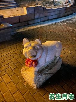 城隍庙是什么生肖？城隍庙最准确一肖