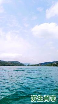 游日月潭是什么生肖？游日月潭打准确一肖