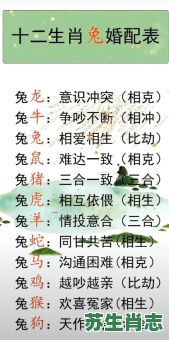 1975年是什么生肖？75兔跟什么属相配最好