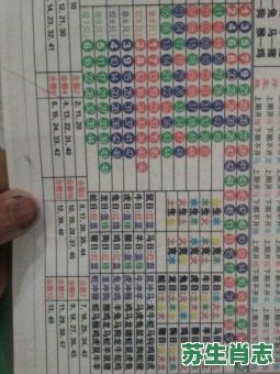 今期生肖九字头是什么生肖？九字头最正确的生肖