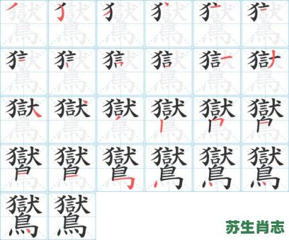 炑是什么生肖？嫲是什么生肖