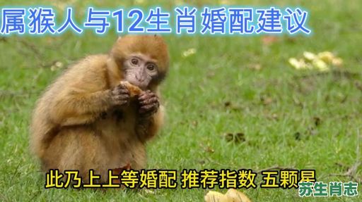 1992年是什么生肖？92年猴的婚姻最佳配偶