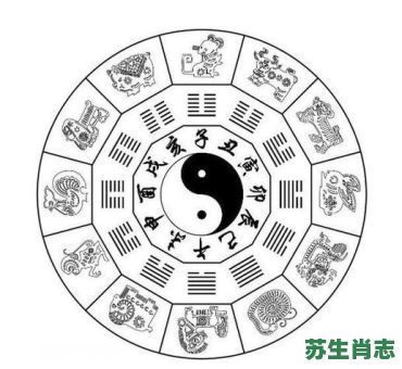 阳是什么生肖？阳打一个正确生肖