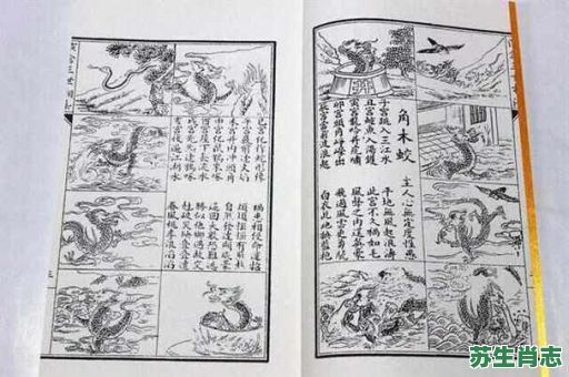 水陆两栖前世修是什么生肖？水陆双栖前世修最佳答案