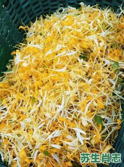 拈花惹草是什么生肖?拈花惹草打一正确生肖 拈花惹草是什么生肖?拈花惹草打一正确生肖