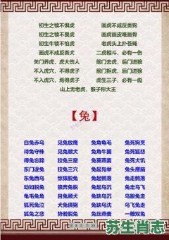 车如流水马如龙是什么生肖？车如流水马如龙正确答案