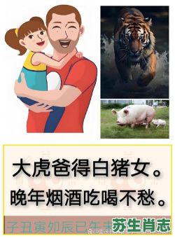 爸爸是什么生肖？爸爸打一个正确生肖