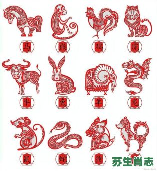 一九看五遍是什么生肖？一九看五遍打一数字