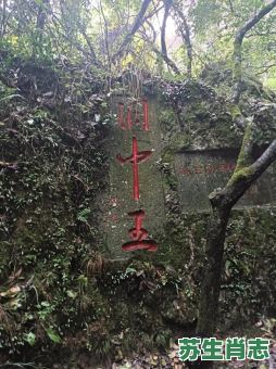 西出阳关见瘦马是什么生肖？西出阳关见瘦马准确一肖