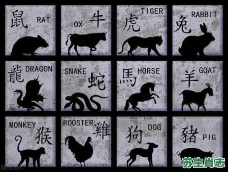 共有四个口是什么生肖？共有四个口打一准确生肖