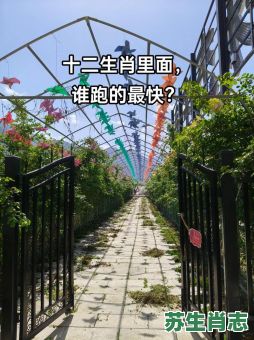 跑得最快的是什么生肖？十二生肖跑得最快的是谁