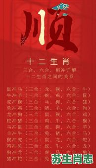 貌充充是什么生肖？貌充充猜一个正确生肖