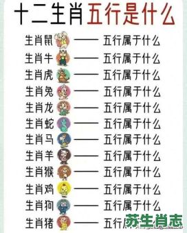 户是什么生肖？户字打一准确生肖