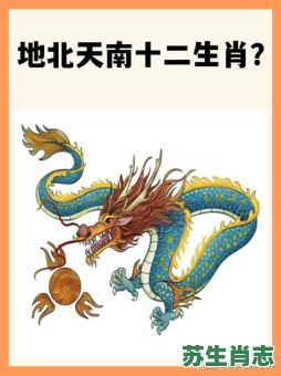 南是什么生肖？南打一个准确的生肖