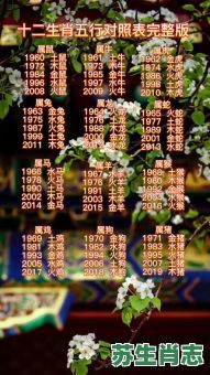 四大金刚是什么生肖？四大金刚打一准确动物