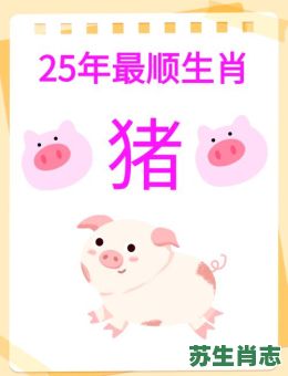 2025年是什么生肖？95年属猪的最佳配偶