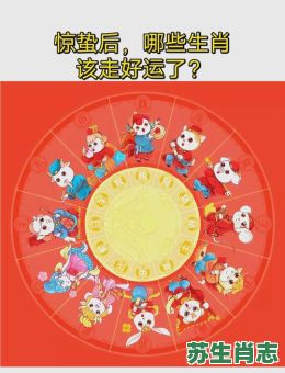 惊是什么生肖？惊字打一准确生肖