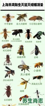 招蜂引蝶是什么生肖?招蜂引蝶打一准确生肖 招蜂引蝶是什么生肖?招蜂引蝶打一准确生肖