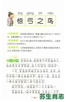 惊弓之鸟是什么生肖？惊弓之鸟打一正确生肖