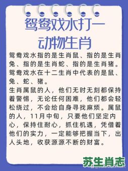 鸳鸯是什么生肖？鸳鸯打一准确生肖