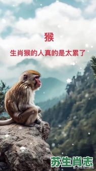 忍辱负重是什么生肖？忍辱负重打一最佳动物