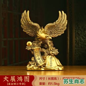 鹰是什么生肖？老鹰打一准确生肖