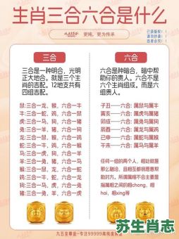 三是什么生肖？三指一准确生肖
