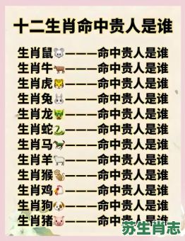 粗心大意是什么生肖？十二生肖谁最粗心大意